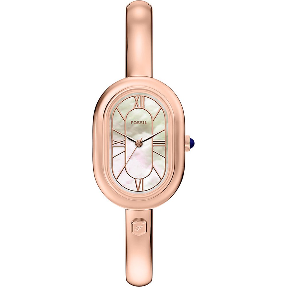 Orologio Fossil